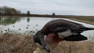 Opening Day Duck Hunt on a Small Farm Pond!!! (2023)