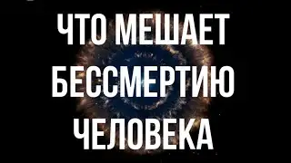 Бессмертие. Что мешает человечеству обрести бессмертие