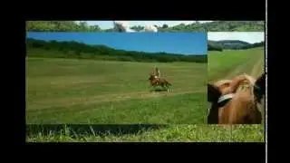 Vágta-Galloping Horse