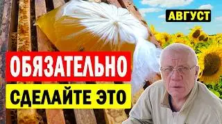 Работы в августе на пасеке Самый важный месяц для пчел