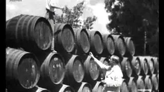 Jerez - Xérès - Sherry