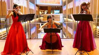4K - Tokyo Midtown Christmas Live Performance - 