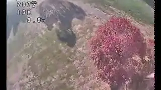 Playing around, powerlooping trees with 5S