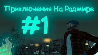 У НАС ЗАБРАЛИ МАШИНУ НА RADMIR RP! 1 ЧАСТЬ.