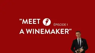 Meet a winemaker ! - Épisode 1 ✨🍷