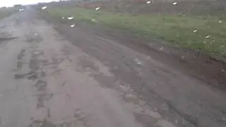 Дорога Шадринск Челябинск, от граници курганской области до русской течи