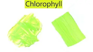 Chlorophyll Color - How To Make Chlorophyll Color - Color Mixing Video