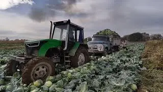 #мтз