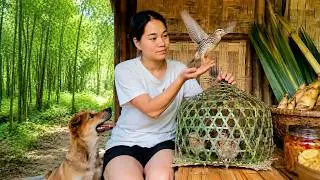 I Didn't Expect This Little Bird to Leave Me So Soon... | Forest Life | Orphaned Girl and Her Puppy