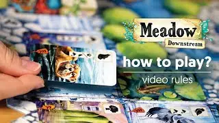 Meadow: Downstream - How to play - board game rules