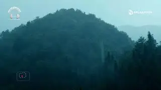 Rain Sounds for Sleeping 1 Hour | Relaxing Music For Stress Relief