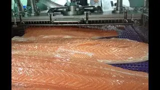 СУПЕР инъектор для красной и белой рыбы. Высокая плотность введения рассола, до 6 игл на 1 см кв.