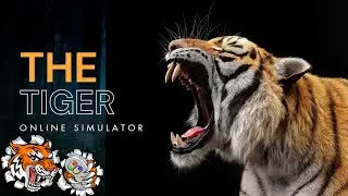 The tiger online simulator part 1