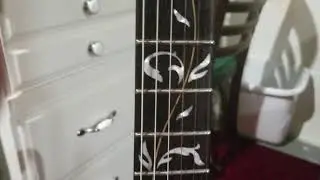 My Woody Jem