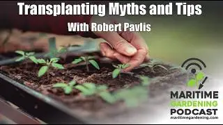 MGP E76: Transplanting Myths and Tips with Robert Pavlis