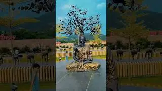 Natural video status | nature whatsapp status | natural status #relax #relaxing #niik_vlogs