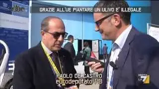 Xylella e le contraddizioni della strategia....