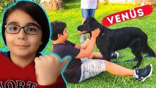 KÖPEK KONTROL CHALLENGE VLOG