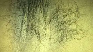 hairy armpit || #plucking #smell #underarms #shaving