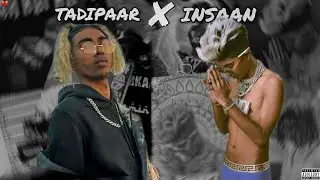Mc Stan Status🔥 | Tadipaar X Insaan💫 | New Edit Status🥀🔥 | Mc Stan Status✨ | 