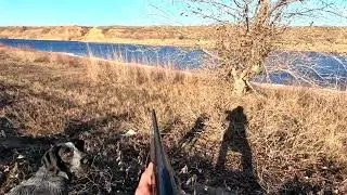 Duck, Hare, and Pheasant Hunting in 1 Hour (December 2022)