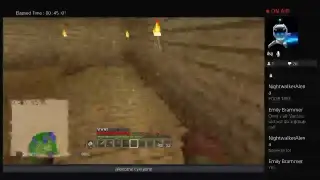 Minecraft fun
