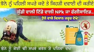 ਝੋਨੇ ਨੂੰ ਪਹਿਲੀ ਸਪਰੇ ਕਦੋ ਤੇ ਕਿਹੜੀ ਦਵਾਈ ਦੀ ਕਰੀਏ' ਸੁੰਡੀ ਵਾਲੀ ਟਿੱਡੇ ਵਾਲੀ Npk ਜਾ ਫੰਗੀਸਾਇਡ • agri advice
