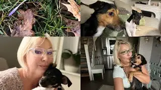 На конце все позади 🥹🐕‍🦺🐕Утро с питомцами 🌷🪻