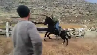 Обучение карачаевской лошади