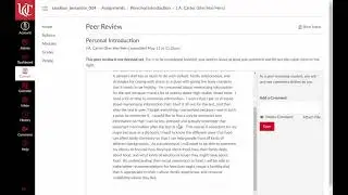 How to find Peer Review in Canvas discussion board