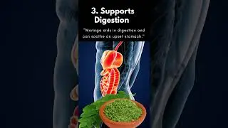Discover The Healing Power of Moringa Leaf Powder.