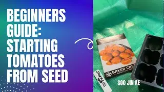Beginner’s Guide:  Starting Tomatoes from Seed