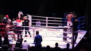 Steel Fights Магомет Бабочиев vs Дмитрий Мудрый