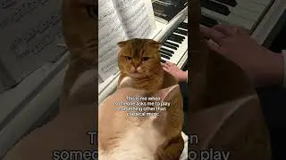 I hope you understand me 🥲 #musicians #pianist #classicalmusic #pianomusic #pianolove