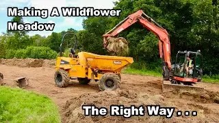 How To Make A Wildflower Meadow From Scratch - Timelapse & Revisiting 2 Years Later