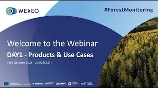 WEkEO Forest Monitoring - Session #1 - 16 October 2024