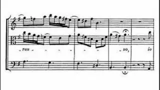 G.F. Handel - Mi palpita il cor - Andreas Scholl (1 of 2)