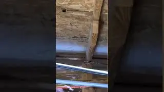 Neal community Lot 192 roof leak above garage during hurricane 🌀 Ian