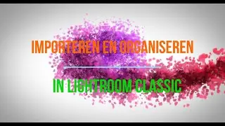 1 Importeren en Organiseren in Lightroom