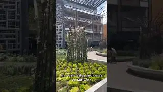 Jardineras en Mitikah #arquitectura #arquitectos #arq #fyp #jardin #jardinera #plantas #jardines