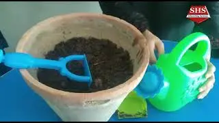 Plantation Drive for Clean & Green Pakistan