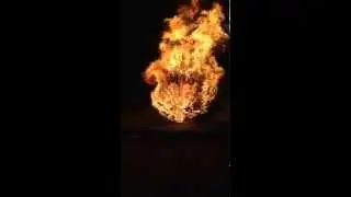 Xmas Tree Burning 1/19/2015