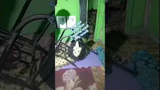 Metode terapi pake Kursi