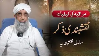 Muraqba Ki Kefiyaat | Naqshbandi Zikr | Silsila e Naqshbandi | Hazrat Shaykh Humayun Hanif Db