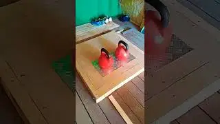 23 июня 2023 г.