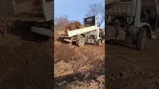 тяжёлый корешок