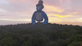 Big monkey