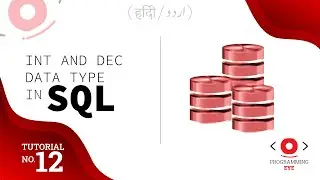INT and DEC Data Type in SQL | Lecture 12 | Hindi / Urdu | Programming Eye