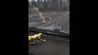 Что происходит?