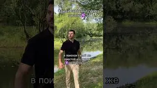 Где моя рыбка?